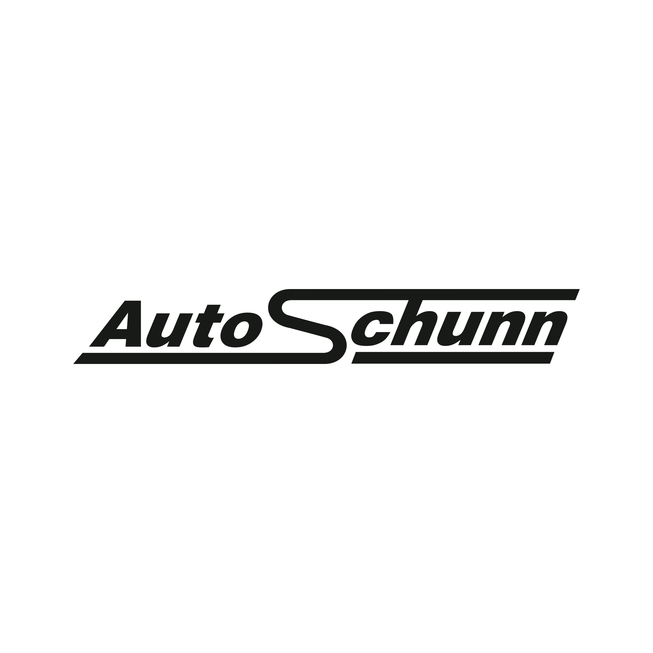 /resources/logo_sponsor/logo_autoschunn_page-0001.jpg